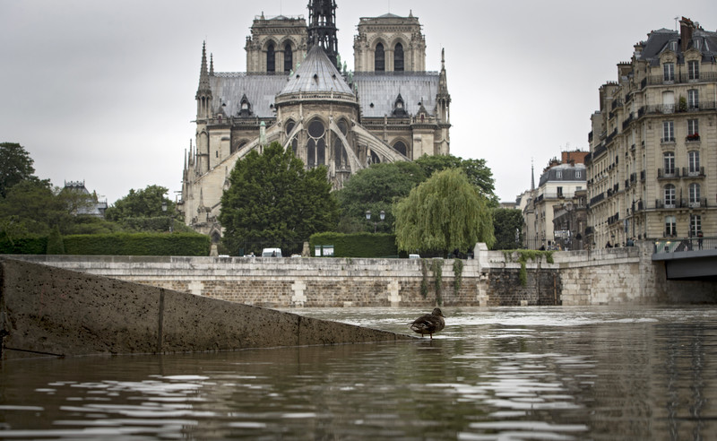 epa05344500 A duck perches on a ramp submerged by floodwaters along the Seine river in Paris, France, 03 June 2016. Floods and heavy rain drenched about a quarter of the French territory over several days. EPA/IAN LANGSDON
