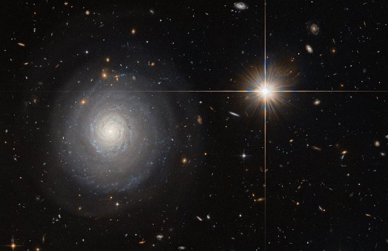 This image was taken by the NASA/ESA Hubble Space Telescope’s Advanced Camera for Surveys (ACS), and shows a starburst galaxy named MCG+07-33-027. This galaxy lies some 300 million light-years away from us, and is currently experiencing an extraordinarily high rate of star formation — a starburst. Normal galaxies produce only a couple of new stars per year, but starburst galaxies can produce a hundred times more than that! As MCG+07-33-027 is seen face-on, the galaxy’s spiral arms and the bright star-forming regions within them are clearly visible and easy for astronomers to study.  In order to form newborn stars, the parent galaxy has to hold a large reservoir of gas, which is slowly depleted to spawn stars over time. For galaxies in a state of starburst, this intense period of star formation has to be triggered somehow — often this happens due to a collision with another galaxy. MCG+07-33-027, however, is special; while many galaxies are located within a large cluster of galaxies, MCG+07-33-027 is a field galaxy, which means it is rather isolated. Thus, the triggering of the starburst was most likely not due to a collision with a neighbouring or passing galaxy and astronomers are still speculating about the cause.