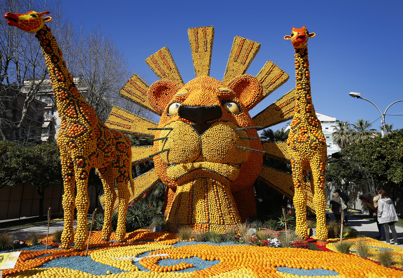 epa05795036 A view of the sculpture 'The Lion King' made with lemons and oranges at the 84th Lemon Festival in Menton, France, 15 February 2017. The 'Broadway' themed festival runs from 11 February to 01 March.  EPA/SEBASTIEN NOGIER