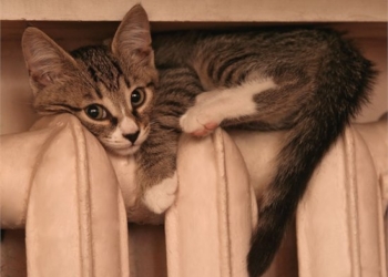 С сегодняшнего дня в школах и больницах Николаева должно потеплеть. Но только в тех, которые не отапливаются Николаевской ТЭЦ