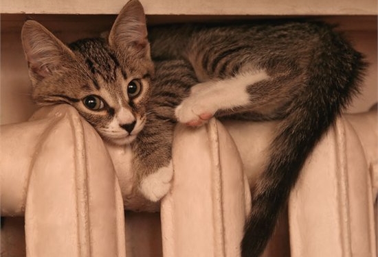 С сегодняшнего дня в школах и больницах Николаева должно потеплеть. Но только в тех, которые не отапливаются Николаевской ТЭЦ