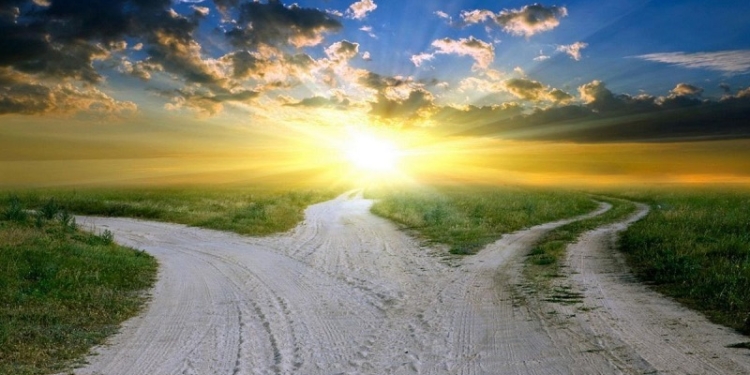 Итоги выборов в Николаевской области: «Блок П.Порошенко», «Оппозиционный блок» и «Народный фронт»