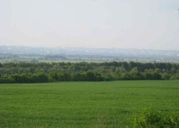 Одесский суд велел николаевскому «фермеру» вернуть землю туда, где взял