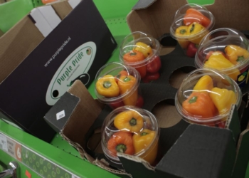 WSJ: Россия вводит эмбарго на импорт украинских овощей и фруктов