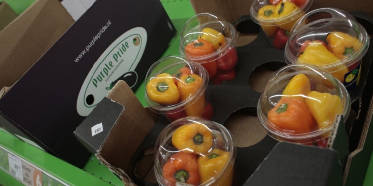 WSJ: Россия вводит эмбарго на импорт украинских овощей и фруктов