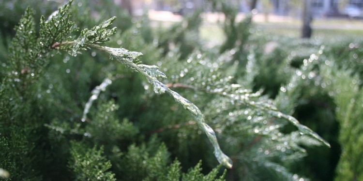 Откровенно говоря, повезло: Николаев лишь в легкой глазури