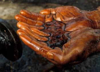 Николаевские налоговики подсчитали, сколько и чего конфисковали в ходе операции по легализации местного нефтерынка