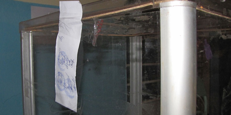 В Веселиново напротив фамилии снявшегося с выборов главы Доманевской РГА забыли проставить штампик «выбыл»