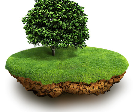 В Николаевском районе братьям-сиротам вернули землю