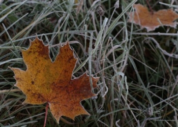 Осторожно, в Николаеве ожидается гололед!