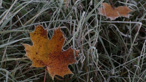 Осторожно, в Николаеве ожидается гололед!