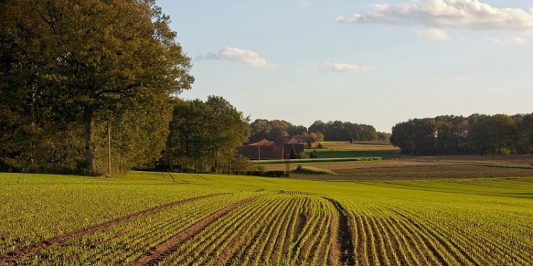 В Баштанском районе 82 га сельскохозяйственных земель забрали у недобросовестного арендатора