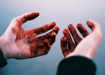 Невольный свидетель. Убийца признался в «убийстве по необходимости»