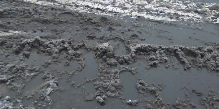 В Николаеве грязно, но не скользко. Снег на Варваровском мосту «съели» реагенты