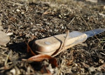 В Николаевской области 14-летний убийца получил 10 лет тюрьмы