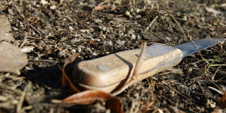 В Николаевской области 14-летний убийца получил 10 лет тюрьмы