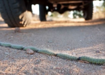 Арестован бывший председатель департамента закупок Минобороны – за фиктивную сделку на полмиллиарда