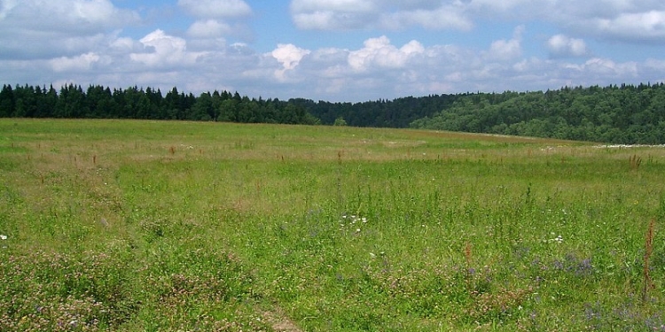 Сироте из Корабельного района вернули 1 га земли, доставшийся ему по наследству