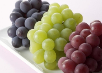 Из-за нерасторопности департамента АПК Николаевской ОГА Очаковское ООО не получило 726 тыс.грн.