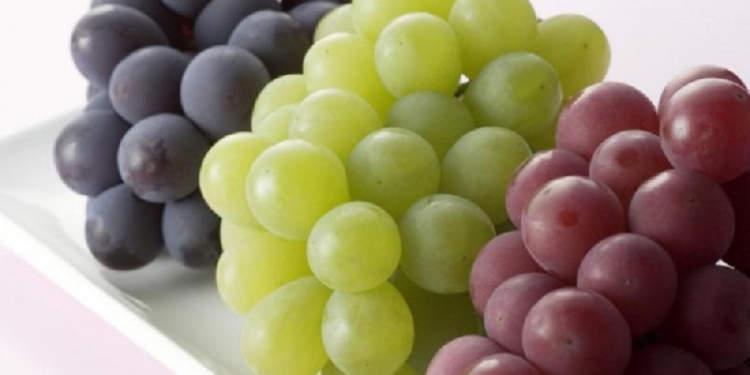 Из-за нерасторопности департамента АПК Николаевской ОГА Очаковское ООО не получило 726 тыс.грн.