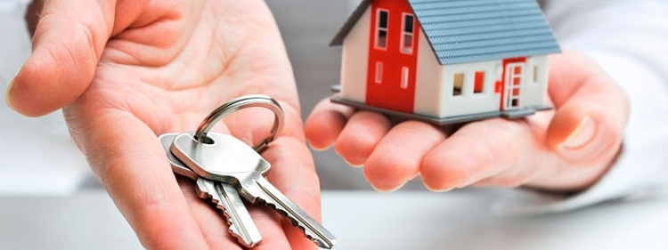 После прокурорской проверки два госрегистратора уволились, а трое получили дисциплинарные взыскания. И было ведь за что