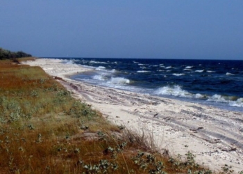 Чтобы по Кинбурну не «бегали» джипы, нужен основательный забор или ров