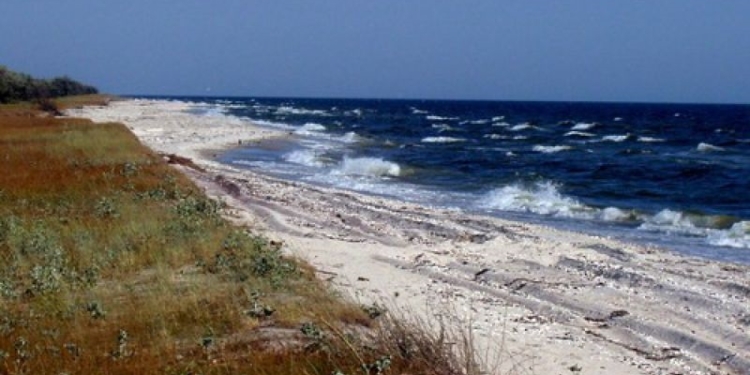 Чтобы по Кинбурну не «бегали» джипы, нужен основательный забор или ров