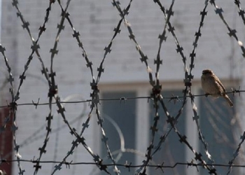 В Вознесенской колонии готовились к беспорядкам