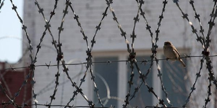 В Вознесенской колонии готовились к беспорядкам