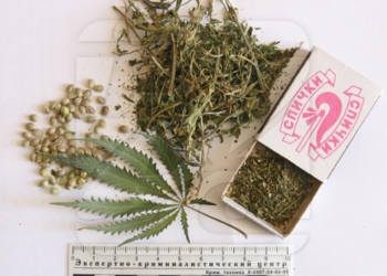 Пошел на запах: участковый из Новобугского района нашел 10 кг конопли