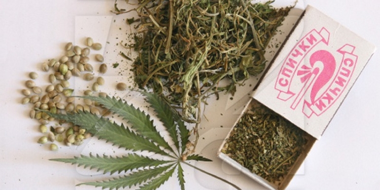 Пошел на запах: участковый из Новобугского района нашел 10 кг конопли