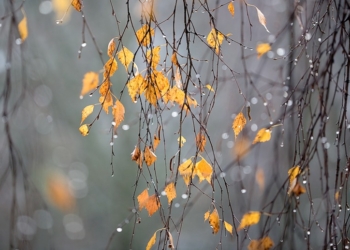 Прогноз погоды на 28 ноября