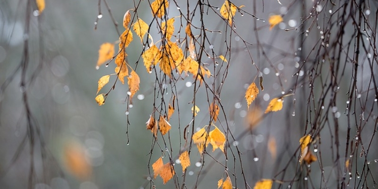 Прогноз погоды на 28 ноября