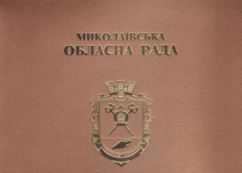 «Кибернаездом» на сайт Николаевского облсовета займутся борцы с киберпреступностью