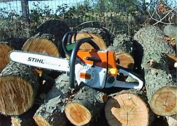 ООО «Мик-Буд-Ойл» дали разрешение на снос 21 дерева. Но им придется заплатить больше, чем рассчитывалось