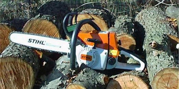 ООО «Мик-Буд-Ойл» дали разрешение на снос 21 дерева. Но им придется заплатить больше, чем рассчитывалось