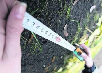 В Николаеве 226 земельных участков выделят участникам АТО, а 54 – ветеранам войны в Афганистане. И никаких рабов