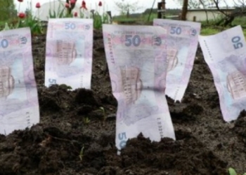 Ни метра без торгов: в Николаеве прокуратура предупредила передачу в аренду 1 га земли