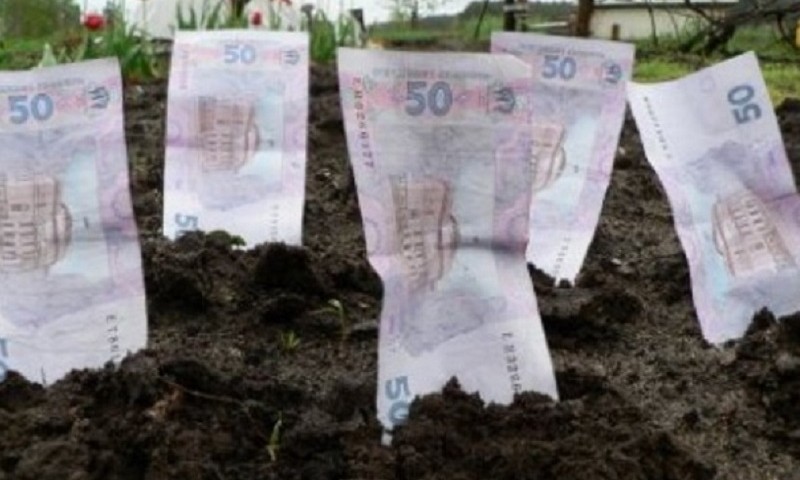 До місцевих бюджетів Миколаївщини надійшло понад 481 млн грн плати за землю 5