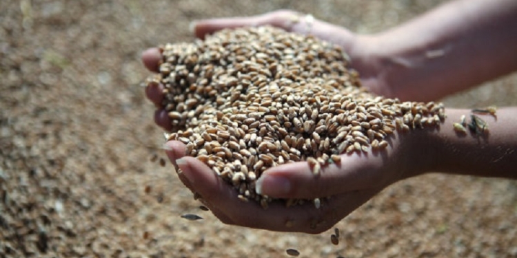 В Николаеве бессовестным образом обманули фермеров. На миллионы гривен