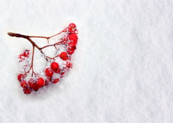 В четверг в Украине выпадет снег