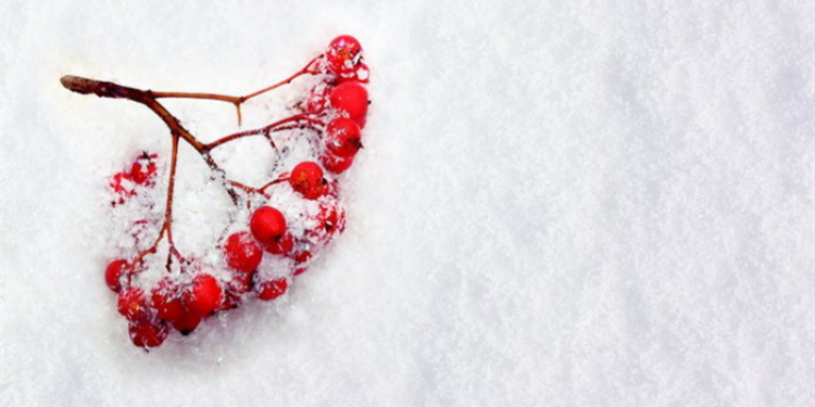 В четверг в Украине выпадет снег