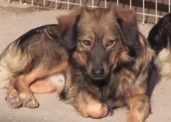 Отзывчивое сердце Людмилы Ткач