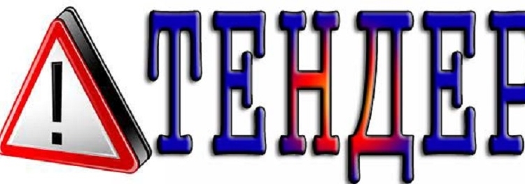 Ради победы в тендере и 600 бюджетных тысяч некое ООО дало недостоверную информацию. А в администрации Центрального района не заметили