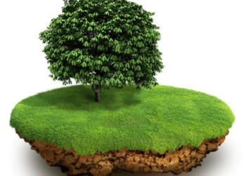 Так как в Николаевской области с земельными участками для бойцов АТО?