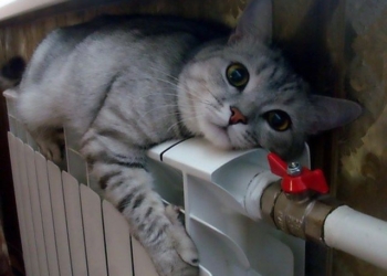 «Золотой ключик» за 3,2 млн.грн.: Детсад во Врадиевке, наконец, согреется