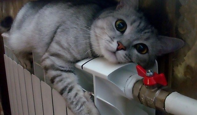 «Золотой ключик» за 3,2 млн.грн.: Детсад во Врадиевке, наконец, согреется