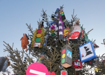 ГАИ вышло на «охоту» за елочными браконьерами