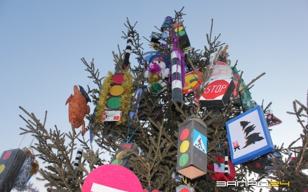 ГАИ вышло на «охоту» за елочными браконьерами