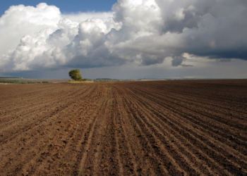 Прокуратура Николаевщины потребовала вернуть государству 320 гектаров земли за неуплату